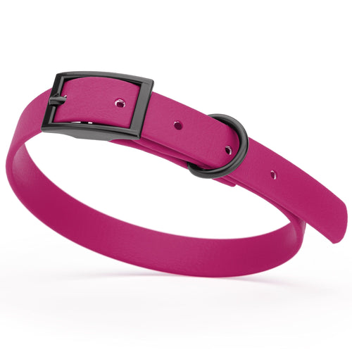 BioThane Waterproof Dog Collar - XS: L 12-15 x W 5/8 - Black OR Brass Hardware
