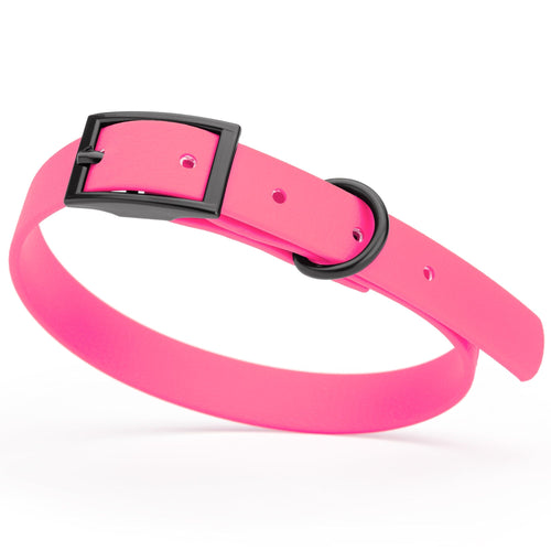 BioThane Waterproof Dog Collar - XS: L 12-15 x W 5/8 - Black OR Brass Hardware