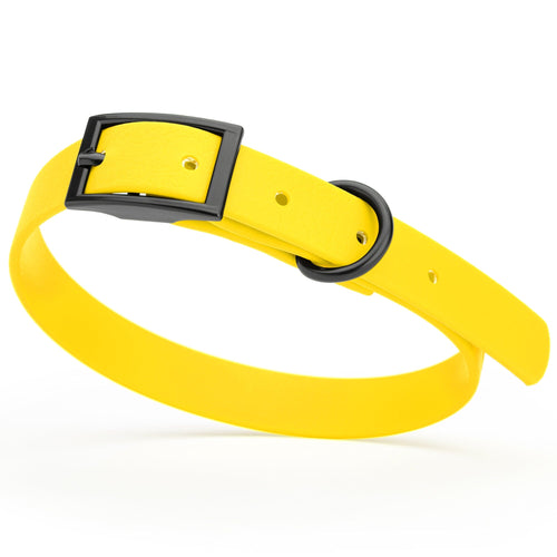 BioThane Waterproof Dog Collar - XS: L 9-12 x W 1/2 - Black OR Brass Hardware