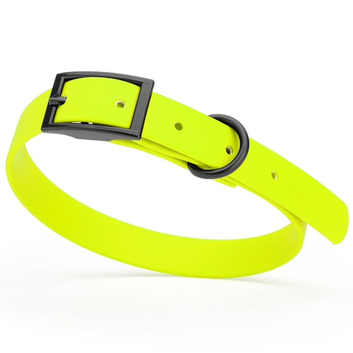 BioThane Waterproof Dog Collar - XS: L 9-12 x W 1/2 - Black OR Brass Hardware