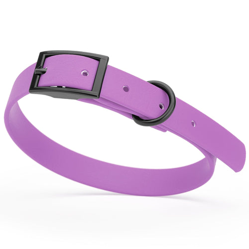 BioThane Waterproof Dog Collar - XS: L 9-12 x W 1/2 - Black OR Brass Hardware