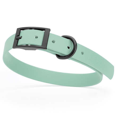 BioThane Waterproof Dog Collar - XS: L 9-12 x W 1/2 - Black OR Brass Hardware