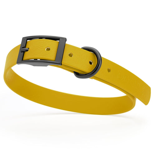 BioThane Waterproof Dog Collar - XS: L 12-15 x W 5/8 - Black OR Brass Hardware
