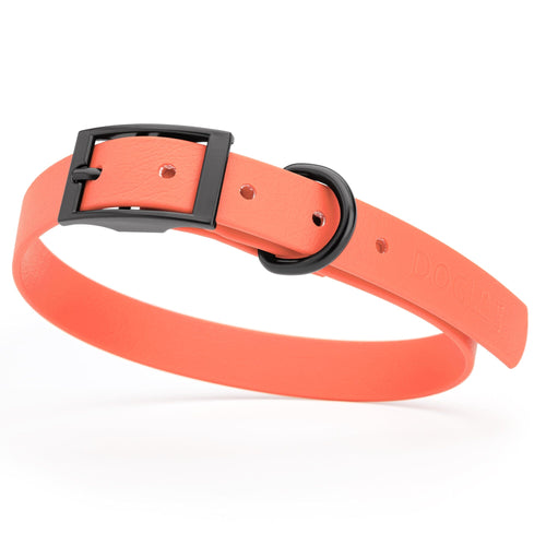 BioThane Waterproof Dog Collar - XS: L 12-15 x W 5/8 - Black OR Brass Hardware