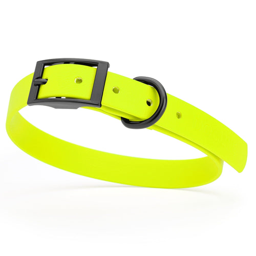 BioThane Waterproof Dog Collar - XS: L 9-12 x W 1/2 - Black OR Brass Hardware
