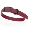 BioThane Waterproof Dog Collar - XS: L 9-12 x W 1/2 - Black OR Brass Hardware