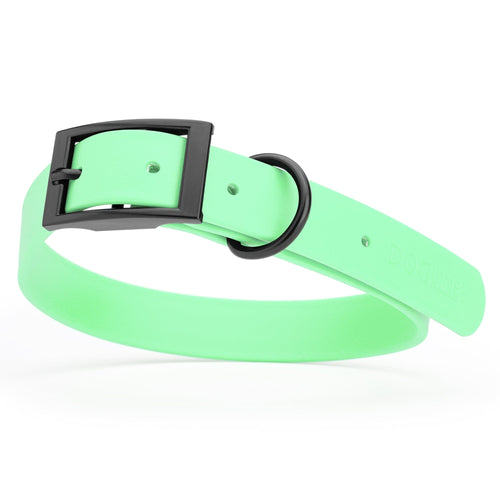 BioThane Waterproof Dog Collar - XS: L 9-12 x W 1/2 - Black OR Brass Hardware