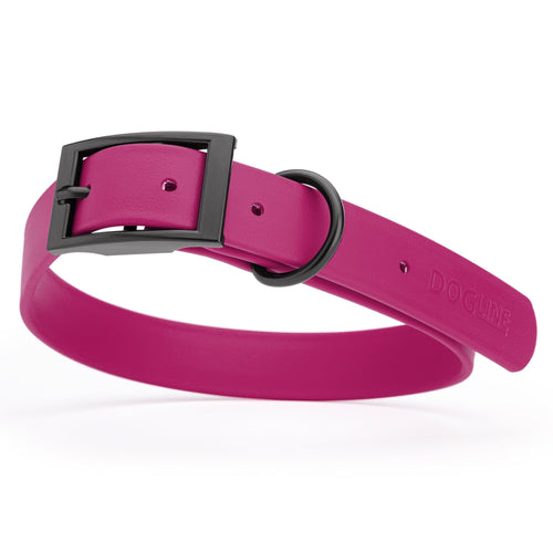 BioThane Waterproof Dog Collar - XS: L 9-12 x W 1/2 - Black OR Brass Hardware