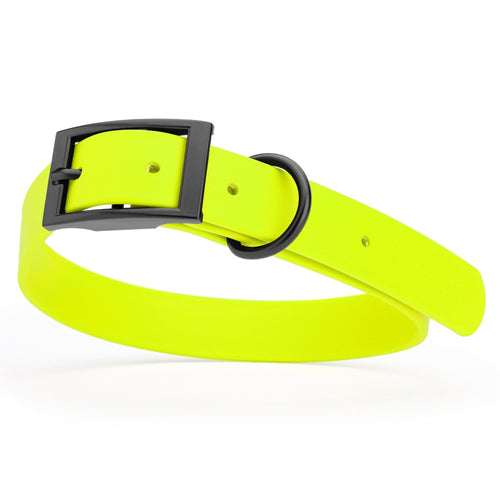 BioThane Waterproof Dog Collar - XS: L 9-12 x W 1/2 - Black OR Brass Hardware