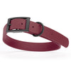 BioThane Waterproof Dog Collar - XS: L 9-12 x W 1/2 - Black OR Brass Hardware