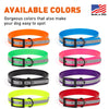 Biothane Translucent Reflective Dog Collar