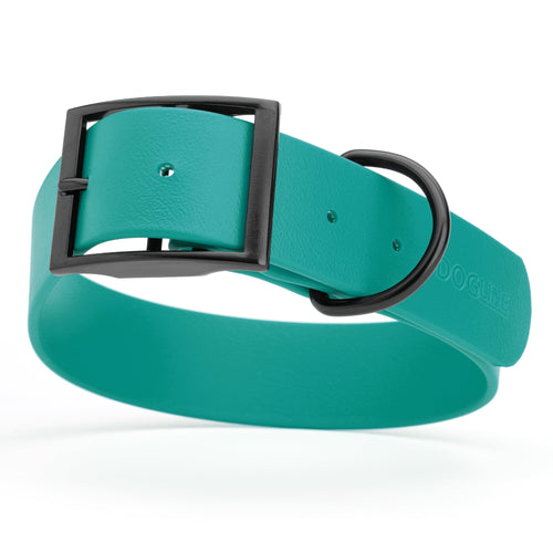 BioThane Waterproof Dog Collar - XS: L 12-15 x W 5/8 - Black OR Brass Hardware