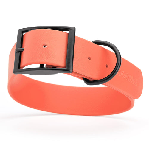 BioThane Waterproof Dog Collar - XS: L 12-15 x W 5/8 - Black OR Brass Hardware