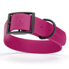 BioThane Waterproof Dog Collar - XS: L 12-15 x W 5/8 - Black OR Brass Hardware