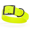 BioThane Waterproof Dog Collar - XS: L 9-12 x W 1/2 - Black OR Brass Hardware