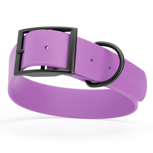 BioThane Waterproof Dog Collar - XS: L 12-15 x W 5/8 - Black OR Brass Hardware