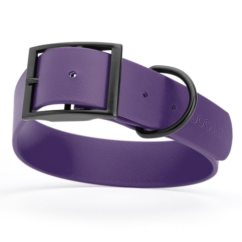 BioThane Waterproof Dog Collar - XS: L 9-12 x W 1/2 - Black OR Brass Hardware