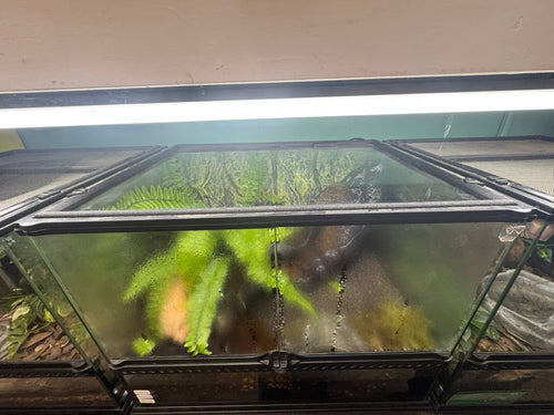 EncloSure™ Replacement Lid for Exo Terra Natural Terrarium 18″ × 18″