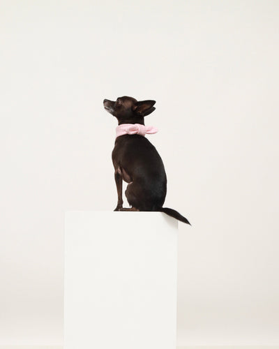 Pink Cotton Scarf