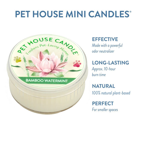 Bamboo Watermint Mini Candle