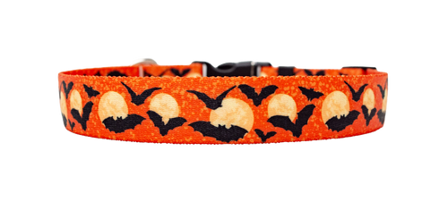 Moon Orange with Bats Dog Collar