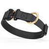 Viper BioThane Dog Collar with Cobra Metal Buckle – Odor Resistant and Waterproof
