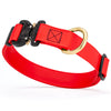 Viper BioThane Dog Collar with Cobra Metal Buckle – Odor Resistant and Waterproof