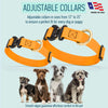 Viper BioThane Dog Collar with Cobra Metal Buckle – Odor Resistant and Waterproof