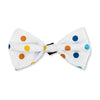 4-Piece Dog Birthday Kit – Celebrate in Style with Bandana, Hat, Bow Tie & Plush Toy