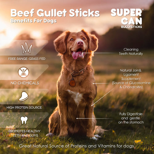 6 Beef Gullet Sticks 8oz (25-Pack)