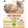 Best Eggs Ever! (TM) Nesting Herbs (Chamomile, Roses, Lavender, Cornflowers, & Calendula) For Pet Chickens