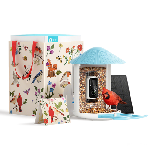 Birdfy Smart Feeder -  Limited Father's Day Gift Set