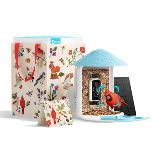 Birdfy Smart Feeder -  Limited Father's Day Gift Set