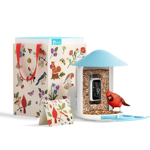 Birdfy Smart Feeder -  Limited Father's Day Gift Set