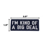 I'M KIND OF A BIG DEAL Morale Patch