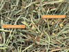 Rabbit Hole Hay Ultra Premium Chamomile Soft Orchard Grass