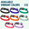 Dogline Pebble Emboss Biothane Dog Collar with Magnetic Buckle