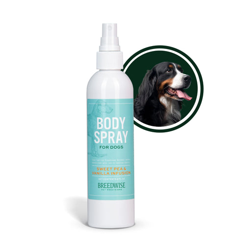 Body Spray (12 Bottles) Wholesale