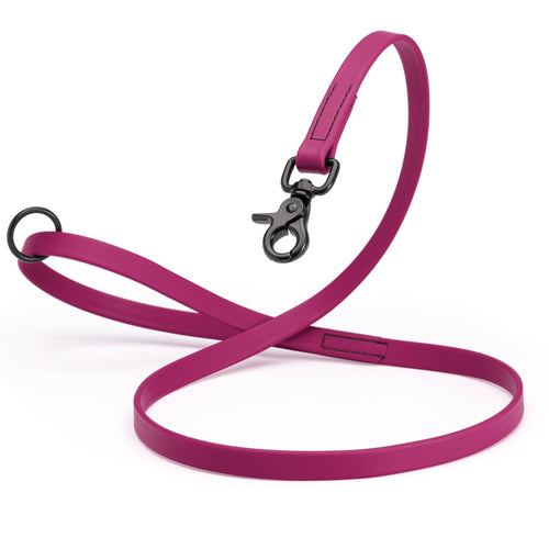 Biothane Dog Leash with Black Scissor Snap