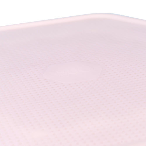 Mealworm Storage Tray (Beetle Tray Not Included)