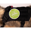 Baller Patch