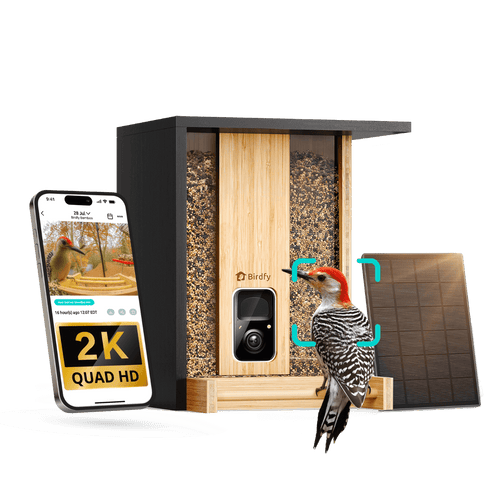 Birdfy Feeder Bamboo - Smart Bird Feeder with Eco-friendly Material