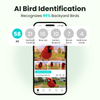 Birdfy Feeder Bamboo - Smart Bird Feeder with Eco-friendly Material