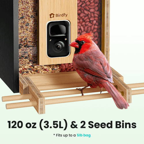 Birdfy Feeder Bamboo - Smart Bird Feeder with Eco-friendly Material