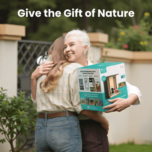 Birdfy Feeder Bamboo - Smart Bird Feeder with Eco-friendly Material