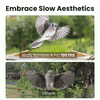 Birdfy Feeder Bamboo A Pro - Smart Metal Feeder with Camera