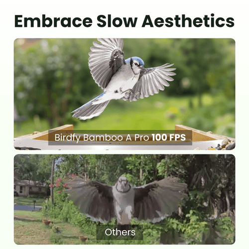Birdfy Feeder Bamboo A Pro - Smart Metal Feeder with Camera