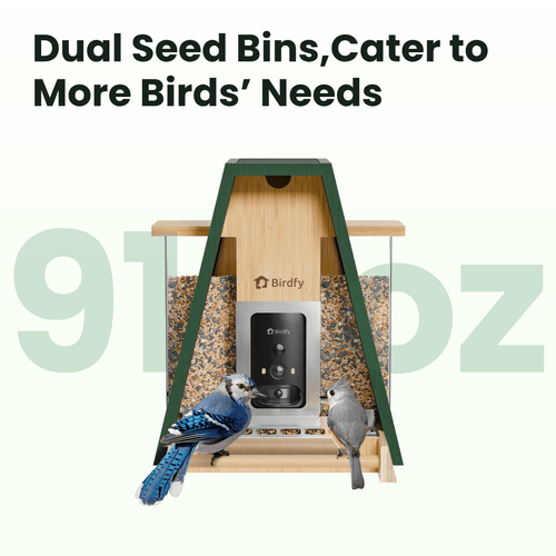 Birdfy Feeder Bamboo A Pro - Smart Metal Feeder with Camera