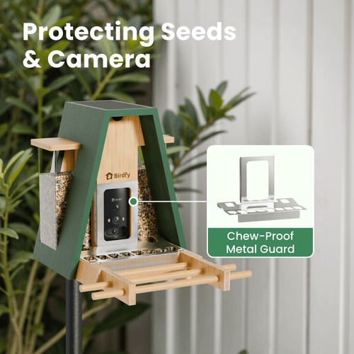 Birdfy Feeder Bamboo A Pro - Smart Metal Feeder with Camera