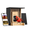 Birdfy Feeder Bamboo Mini - Bird Feeder With Camera